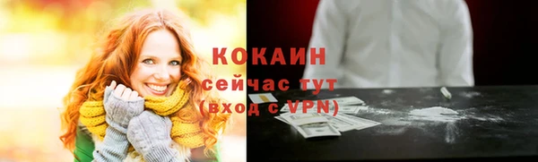 apvp Пестово