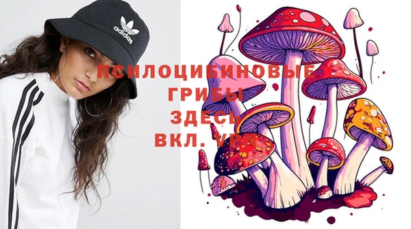 марихуана Арсеньев