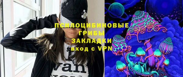 сатива Пересвет