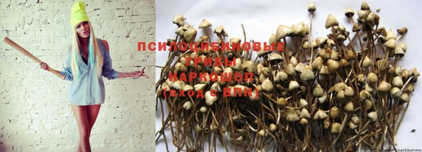 Альфа ПВП Аркадак