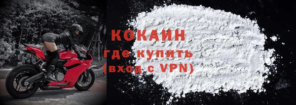 сатива Пересвет