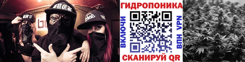 магазин продажи наркотиков  Свободный  Канабис гибрид 